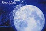 Blue Moon -̎ʐ^W-